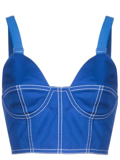 Givenchy Blue Bustier-style Bra