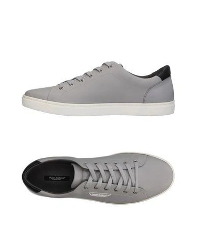 Dolce & Gabbana Sneakers In Light Grey