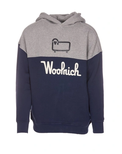 Woolrich Logo Hoodie In Blue
