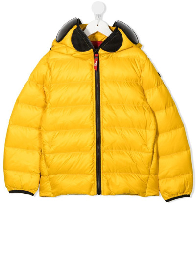 Ai Riders On The Storm Young Kids' Googles-detail Hooded Padded Jacket In Yellow