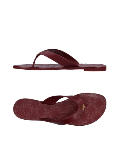 Tory Burch Toe Strap Sandals In Maroon