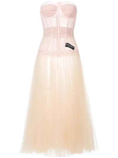 Dolce & Gabbana Tulle Bustier Dress In Pink