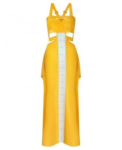 Aya Silk Citrine Maxi Dress In Yellow