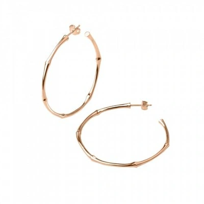 Dinny Hall Rose Gold Bamboo Large Hoops