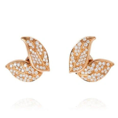 Nadine Aysoy Petites Feuilles Gold Earring Studs