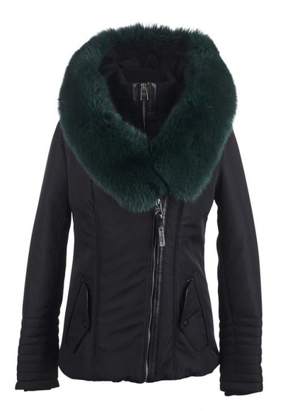 Popski London Cecile Jacket Black With Emerald Collar