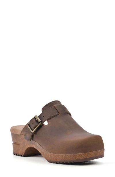 White Mountain Footwear White Mountain Behold Suede Platform Clog In Brown/ Leather
