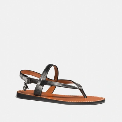 Coach 2025 hudson sandal