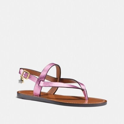 Coach Hudson Sandal - Women's In Metallic Blush