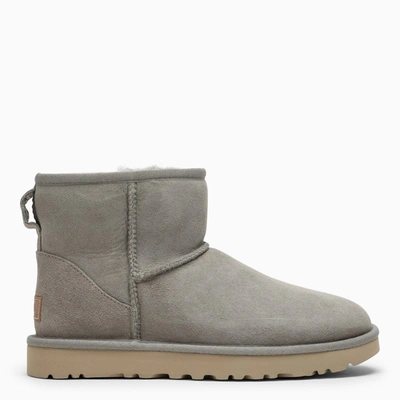 Ugg Grey Suede Ankle Boots In Beige