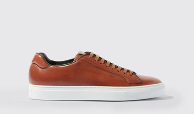 Scarosso Ugo Low-top Sneakers In Brown - Calf