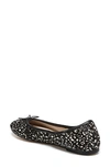 Sam Edelman 'felicia' Flat In Black Dotted Brahma Hair