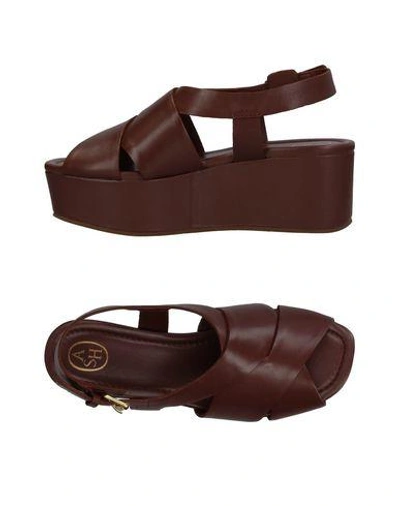 Ash Sandals In Cocoa