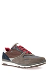 Geox Sandro Abx Ambphibiox Waterproof Sneaker In Charcoal