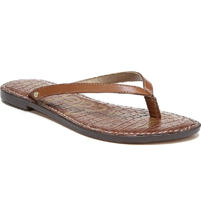 Sam Edelman Gracie Saddle Leather Thong Sandals In Brown Leather