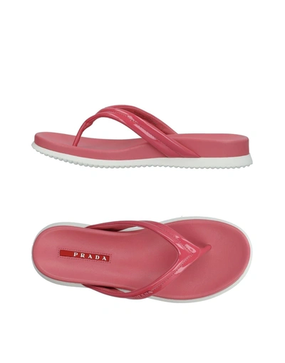 Prada Toe Strap Sandals In Pastel Pink