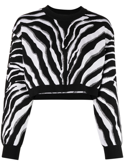 Dolce & Gabbana Cropped Silk Jacquard Sweater With Zebra Design In Black