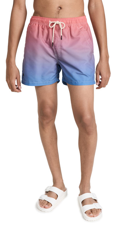 Oas Straight-leg Short-length Ombré Swim Shorts In Pink