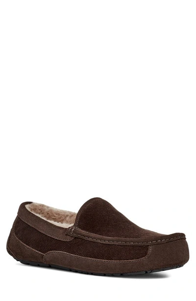 Ugg Ascot Corduroy Ii Plush Lined Driver In Stout