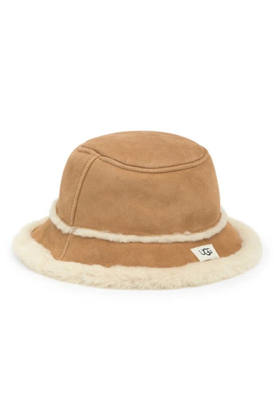 Ugg ® Genuine Shearling & Sheepskin Bucket Hat In Chestnut