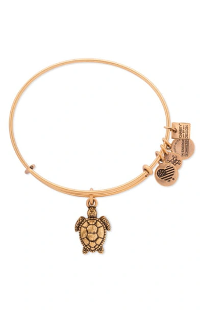 Alex And Ani Sea Turtle Adjustable Wire Bangle In Gold