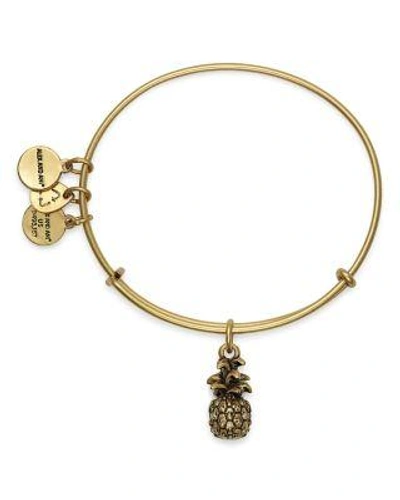 Alex And Ani Pineapple Adjustable Wire Bangle In Russian Gold