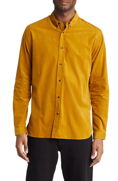 Oliver Spencer Camden Regular Fit Organic Cotton Corduroy Button-down Shirt In Yellow