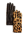 Bloomingdale's Leopard Cashmere & Calf Hair Gloves - 100% Exclusive In Black Leopard