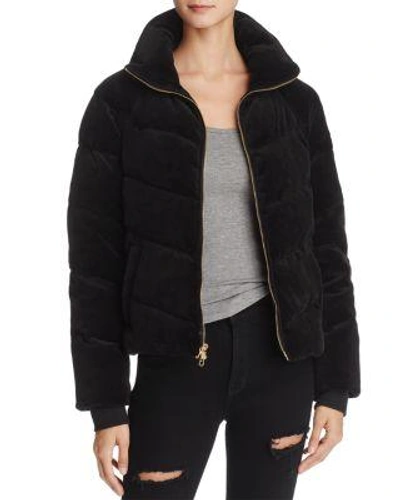 Juicy Couture Black Label Velour Down Puffer Jacket In Pitch