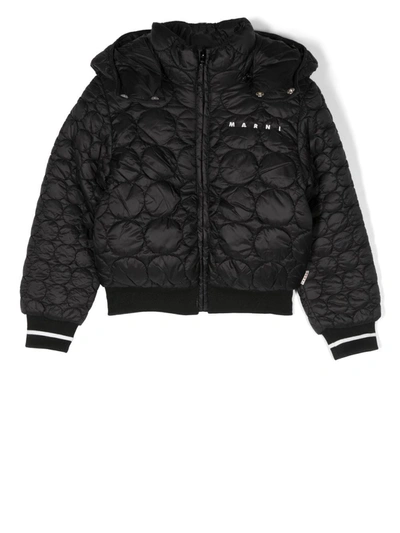 Marni Girls' Hooded Quilted Jacket - Little Kid, Big Kid In Black