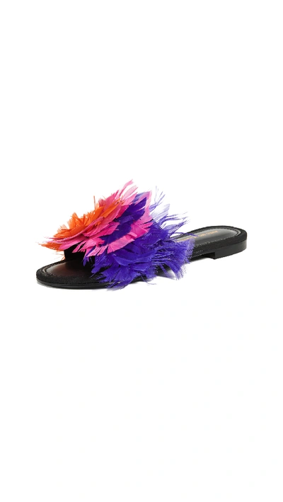 Avec Modération St Tropez Black Leather & Multicoloured Feather Sandals In Multicolor