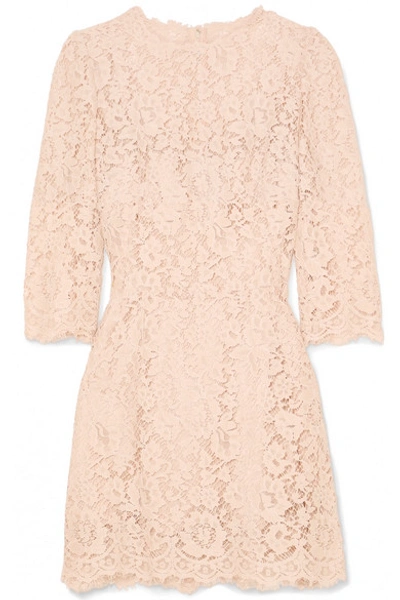 Dolce & Gabbana Crystal-embellished Corded Lace Mini Dress In Blush