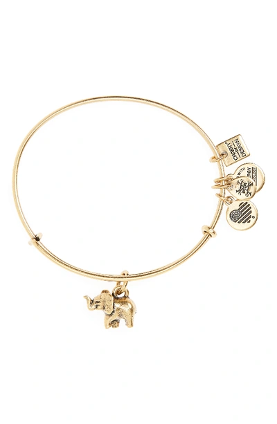 Alex And Ani Charity By Design Elephant Ii Adjustable Bangle In Gold