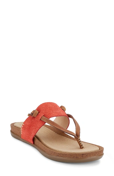 G.h. Bass & Co. Shannon Sandal In Poppy Leather