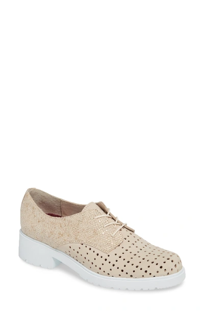 Munro Durell Oxford In Beige Nubuck / Beige Print