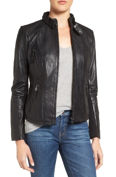 Bernardo Zip Front Leather Biker Jacket In Black