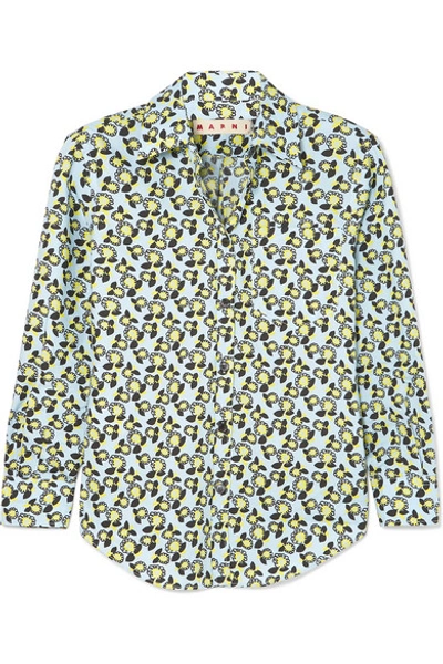 Marni Printed Cotton Shirt In Sky Blue