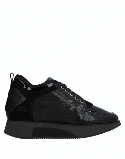 Alberto Guardiani 运动鞋 In Black