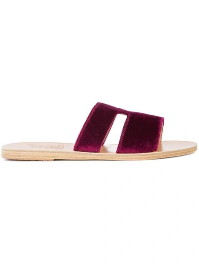 Ancient Greek Sandals Apteros Velvet Slide Sandals In Burgundy