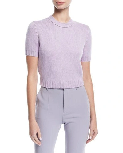 Miu Miu Knit Short-sleeve Crop Sweater In Purple