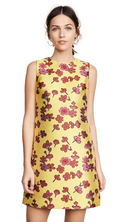 Alice And Olivia Coley Sleeveless Floral-jacquard A-line Dress In Sunflower Poppy