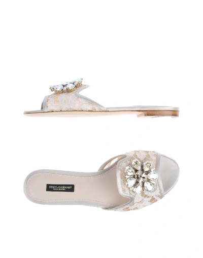 Dolce & Gabbana Sandals In Light Grey
