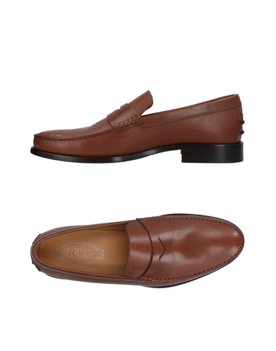 Tod's Loafers In Brown