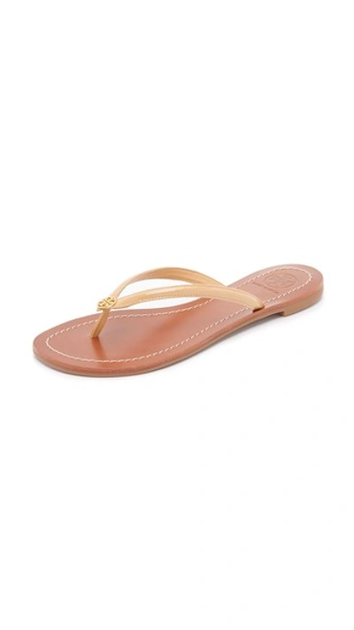 Tory burch deals terra