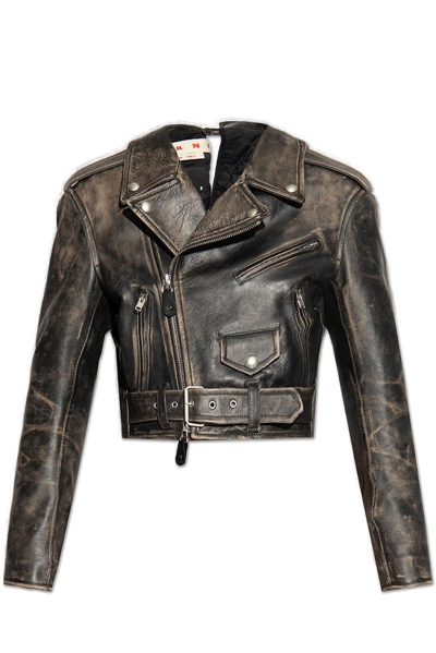 Marni Cropped Leather Biker Jacket In Black