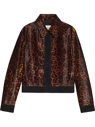 Ami Alexandre Mattiussi Leopard-print Haircalf Cropped Jacket In 219