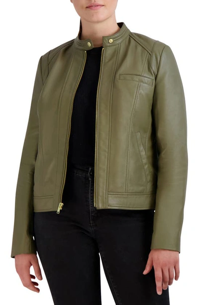Cole Haan Women's Stand-collar Leather Moto Coat, Created For Macy's In Sage