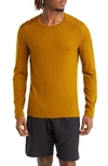 Icebreaker 260 Tech Merino Wool Crewneck Base Layer Top In Clove