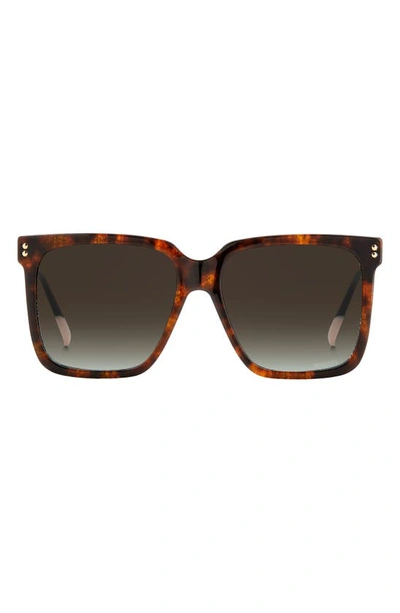 Missoni 60mm Gradient Square Sunglasses In Havana/ Brown Gradient