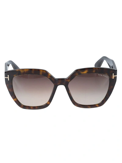 Tom Ford Phoebe Sunglasses In Brown